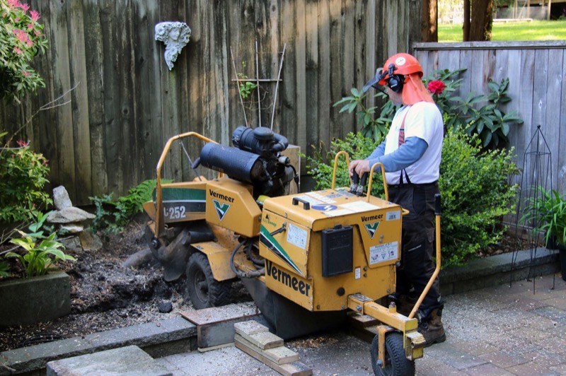 Western Tree Services crew at work