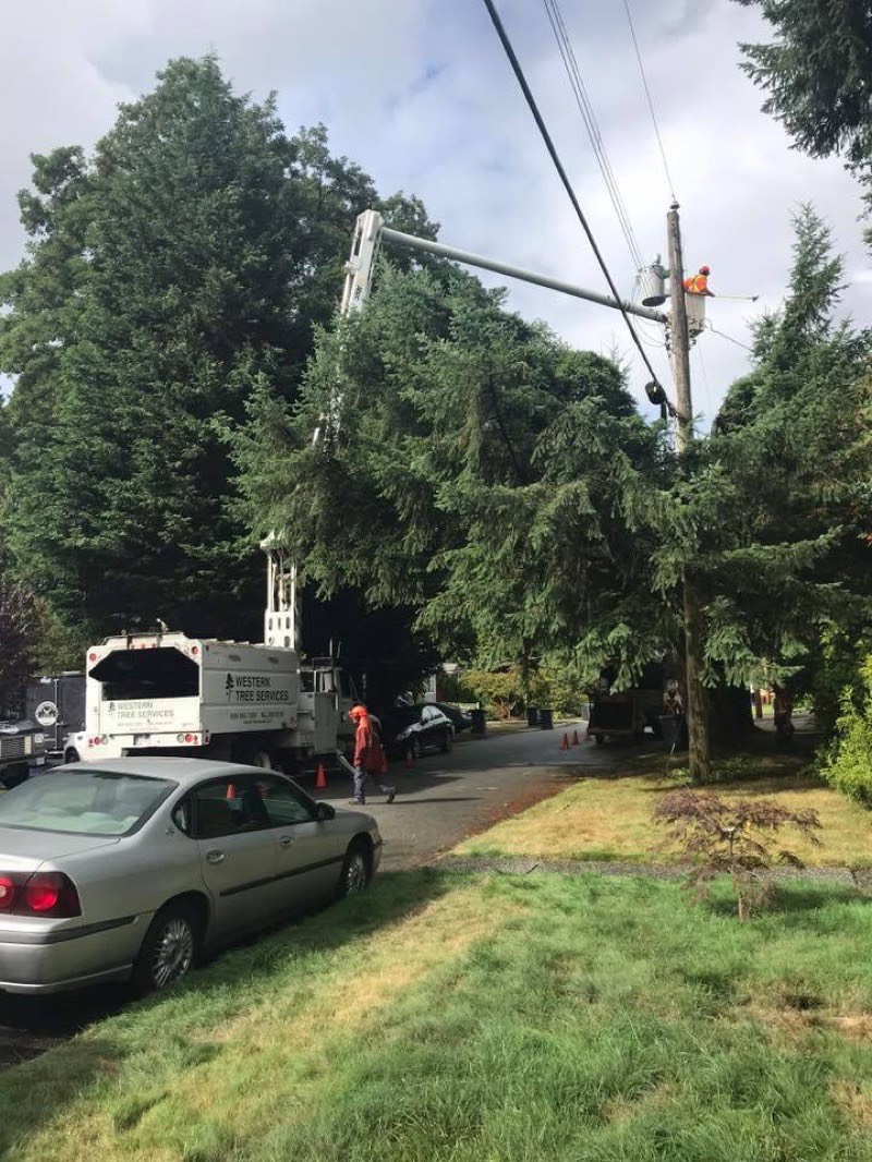 Storm response crew clearing trees from utility lines